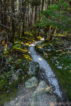 Cannon Mountain