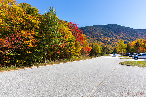 Cannon Mountain Foliage