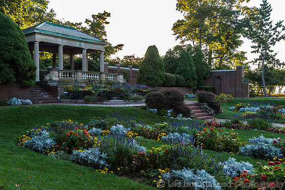 Lynch Park Rose Garden