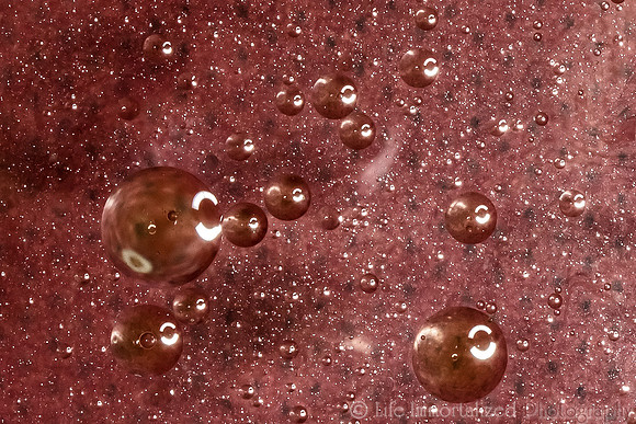 Oil & Water 2