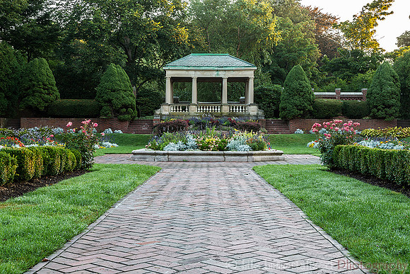 Lynch Park Rose Garden