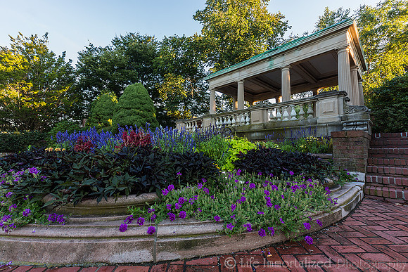 Lynch Park Rose Garden