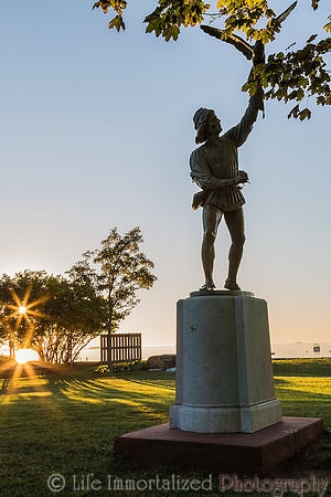 The Falconer of Lynch Park