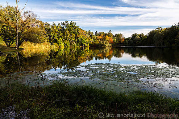 Greenlawn in Autumn