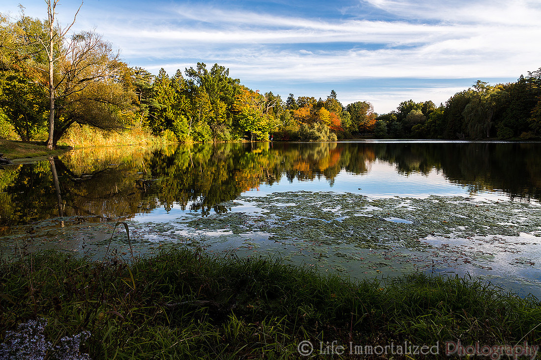 Greenlawn in Autumn