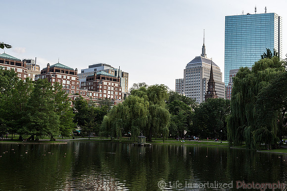 Public Garden