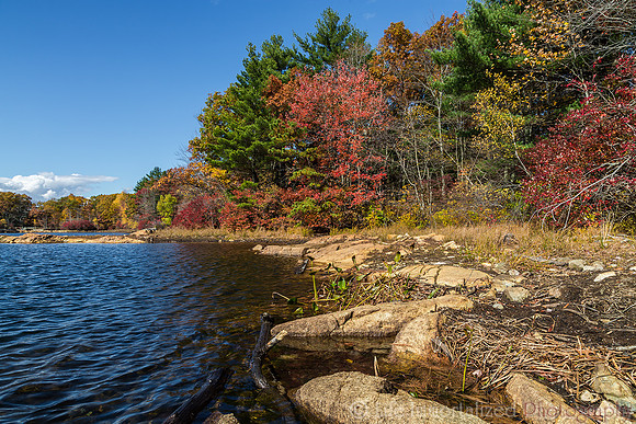Fall Foliage at Breakheart Reservation