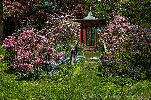 Spring Pagoda