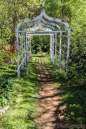 Sedgwick Gardens
