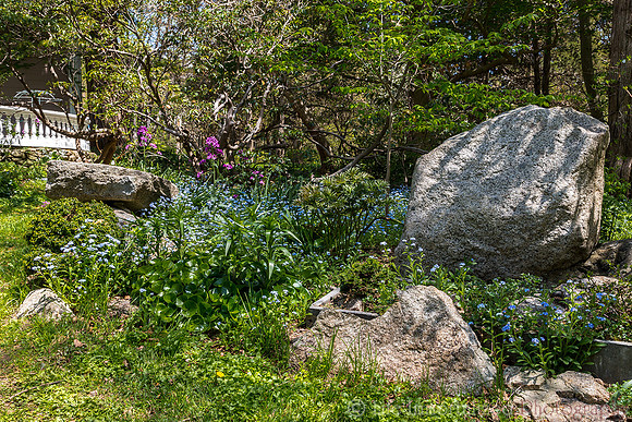 Sedgwick Gardens