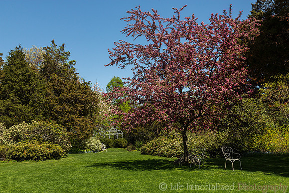 Sedgwick Gardens