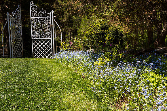 Gate to Nature