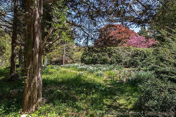 Sedgwick Gardens
