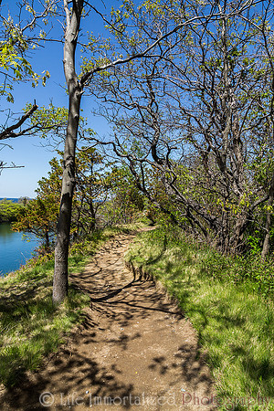 Halibut Point State Park