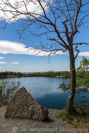 Halibut Point State Park