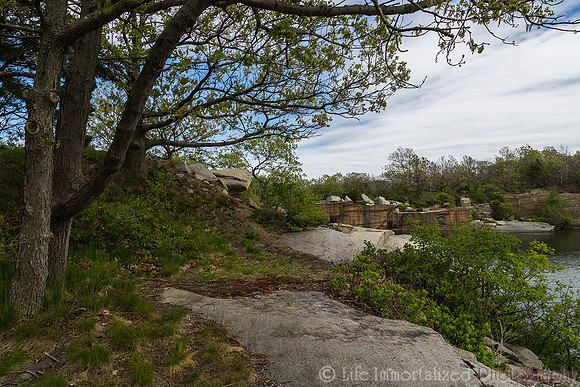 Halibut Point State Park