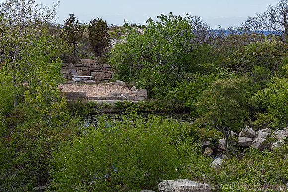Halibut Point State Park