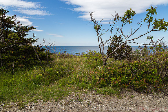 Halibut Point State Park