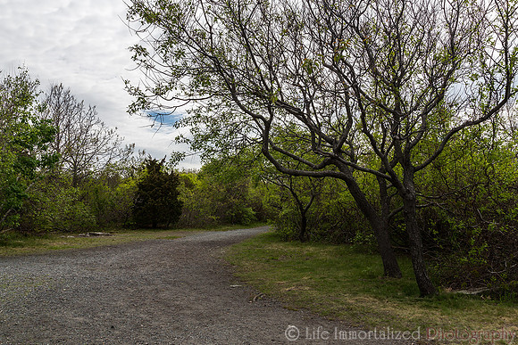 Halibut Point State Park