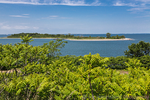 Georges Island Scenery