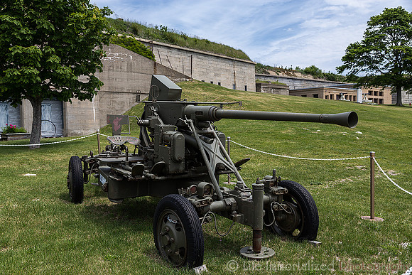 Fort Warren Cannon