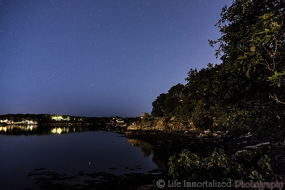 Forest River Park at Night