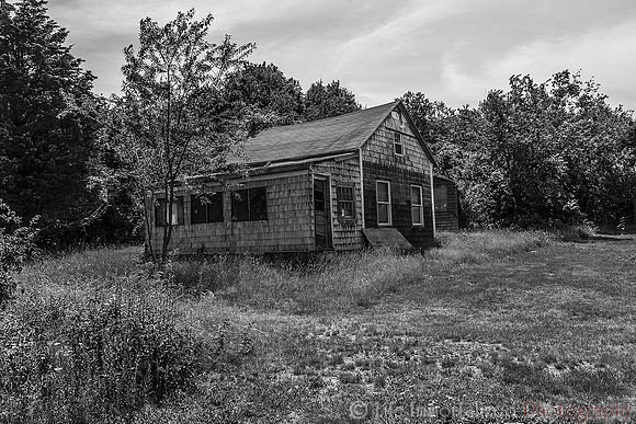 Peddocks Island Cottage Black & White