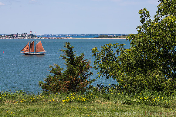 Spectacle Island