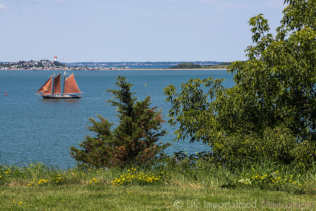 Spectacle Island