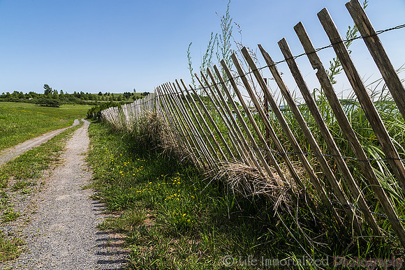 Spectacle Island