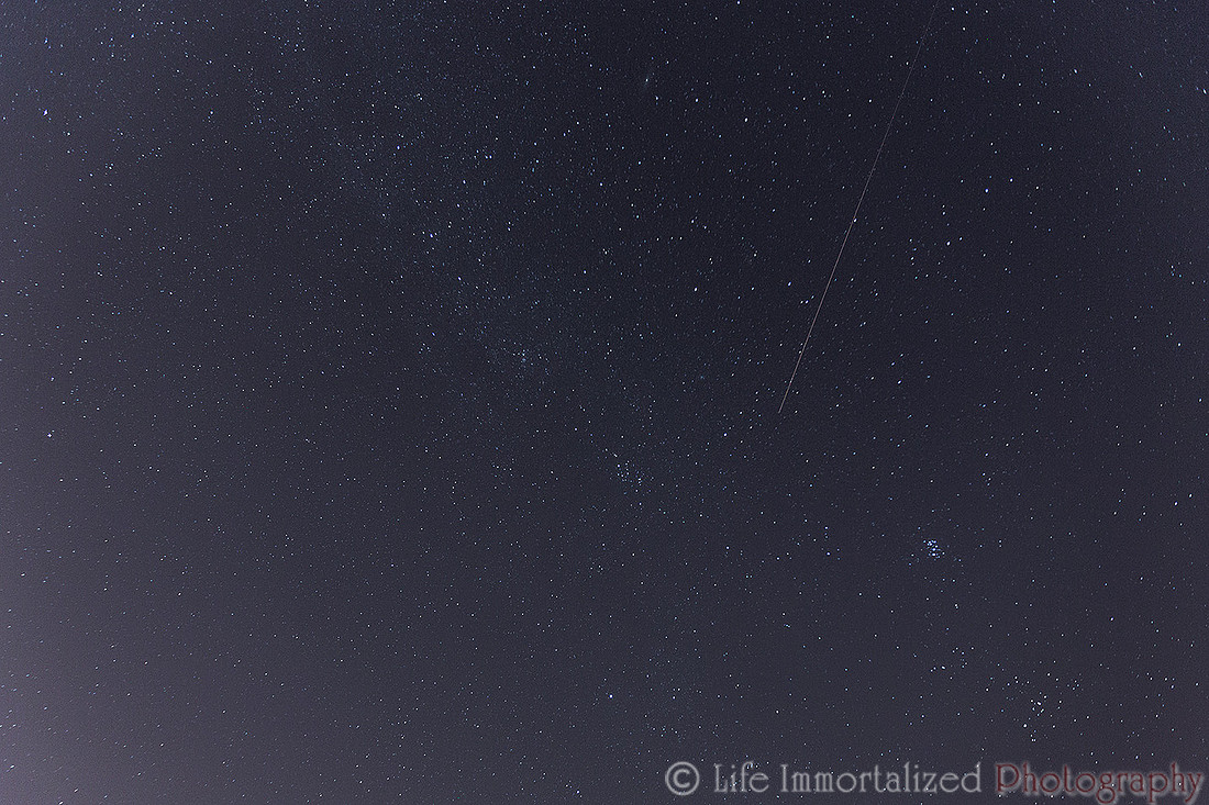 Perseid Meteor Amongst the Stars