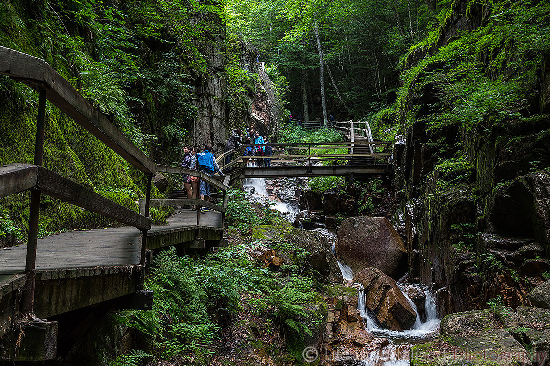Flume Gorge