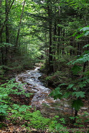 Flume Gorge