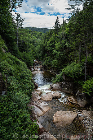 Flume Gorge