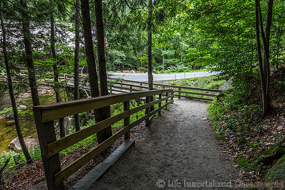 Flume Gorge
