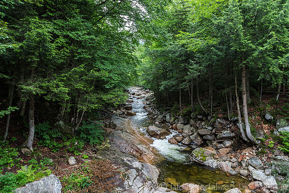 Flume Gorge