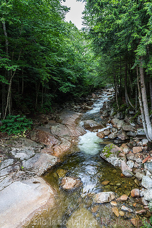 Flume Gorge