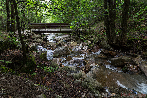Flume Gorge