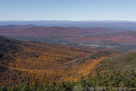 Cannon Mountain Foliage