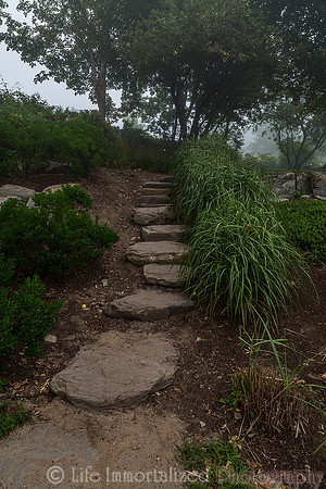 Cliff Walk Path