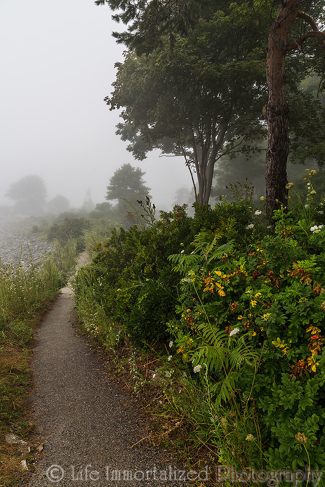 Cliff Walk
