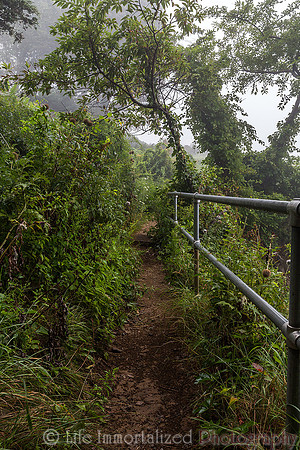 Cliff Walk