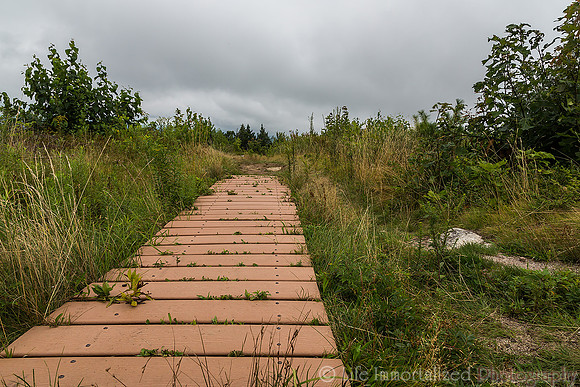 Mt. Agamenticus