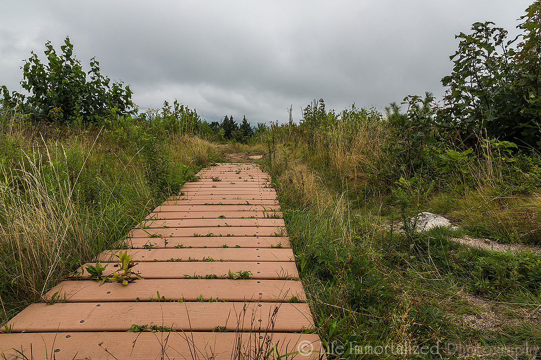 Mt. Agamenticus