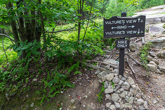 Mt. Agamenticus Trail