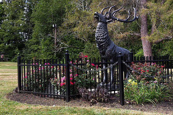 Deer Sculpture