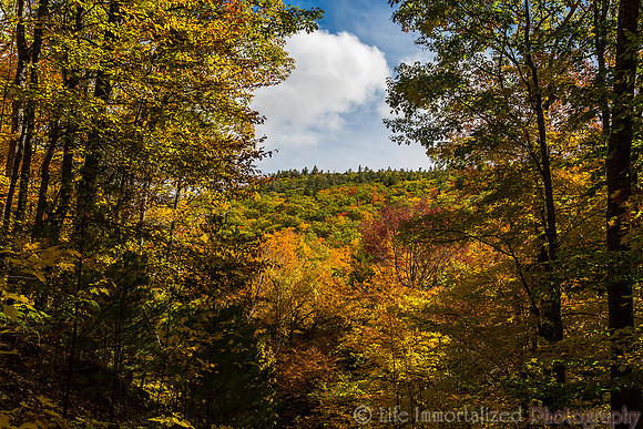 Mountain of Fall Foliage