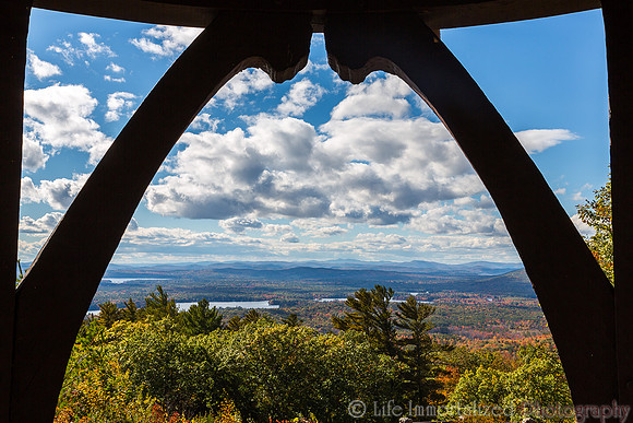 Arc of Foliage