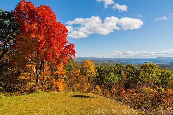 Fall Colors Scenery