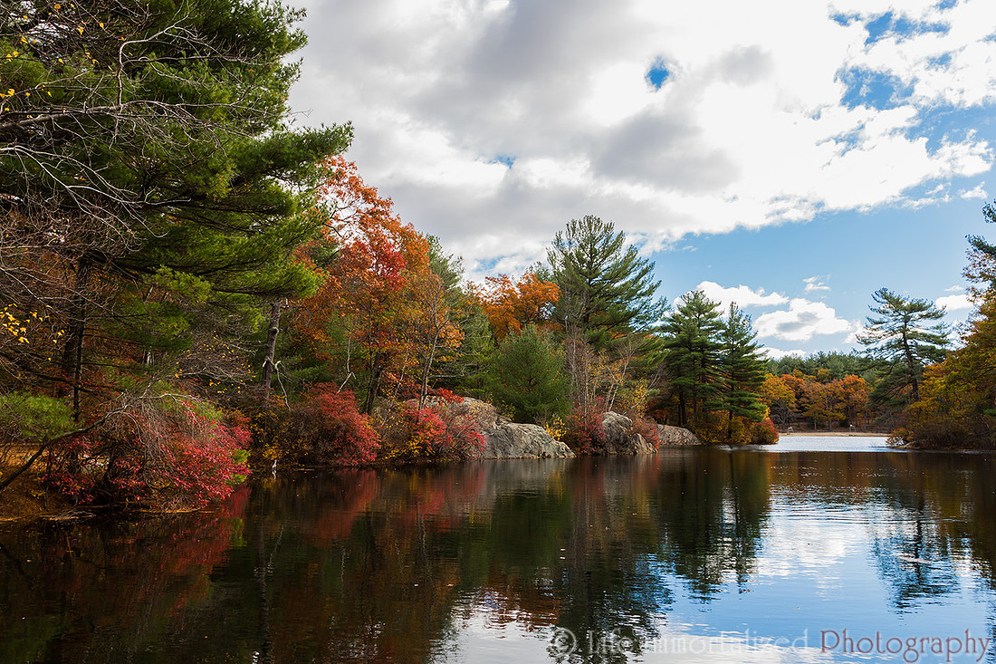 Breakheart Reservation